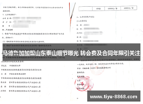 马德鲁加加盟山东泰山细节曝光 转会费及合同年限引关注